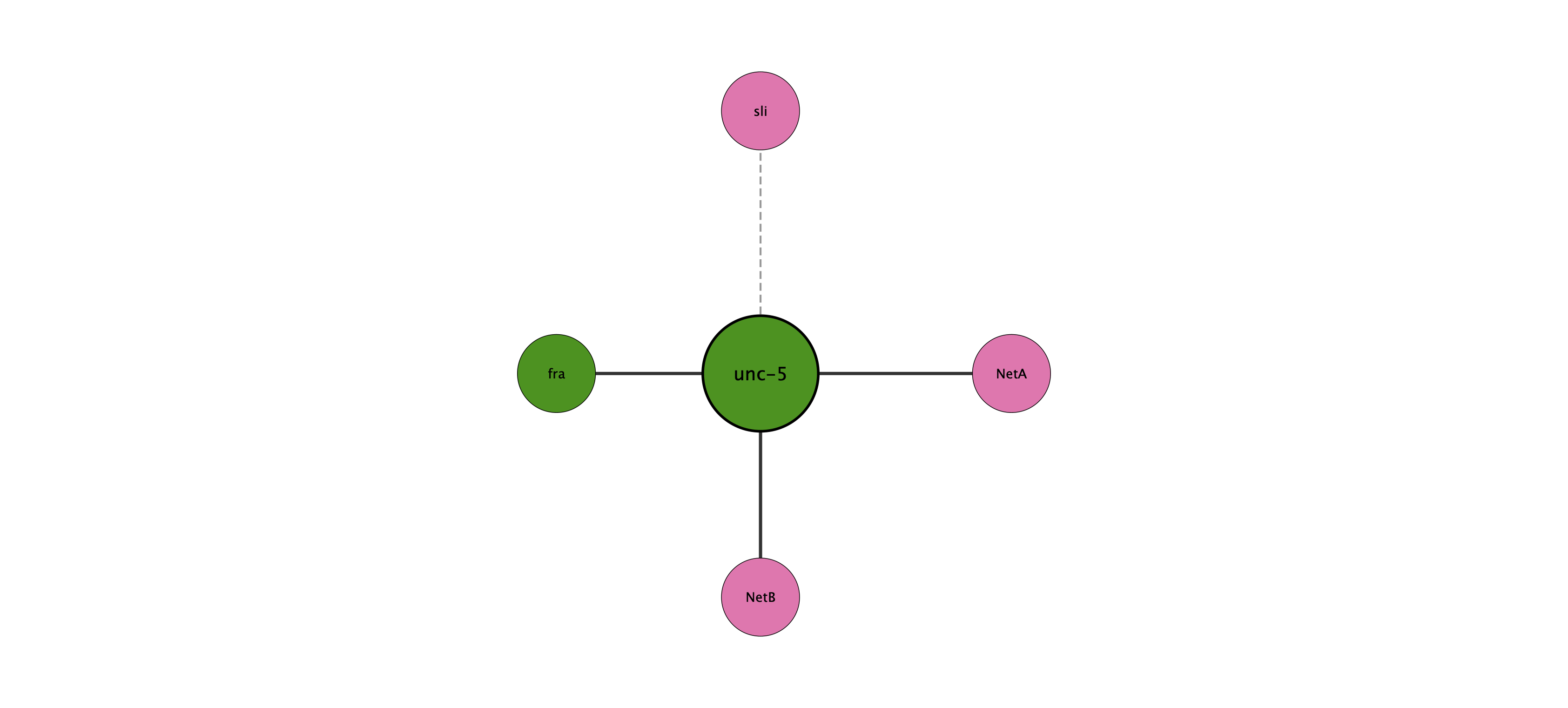 unc-5 protein interaction network