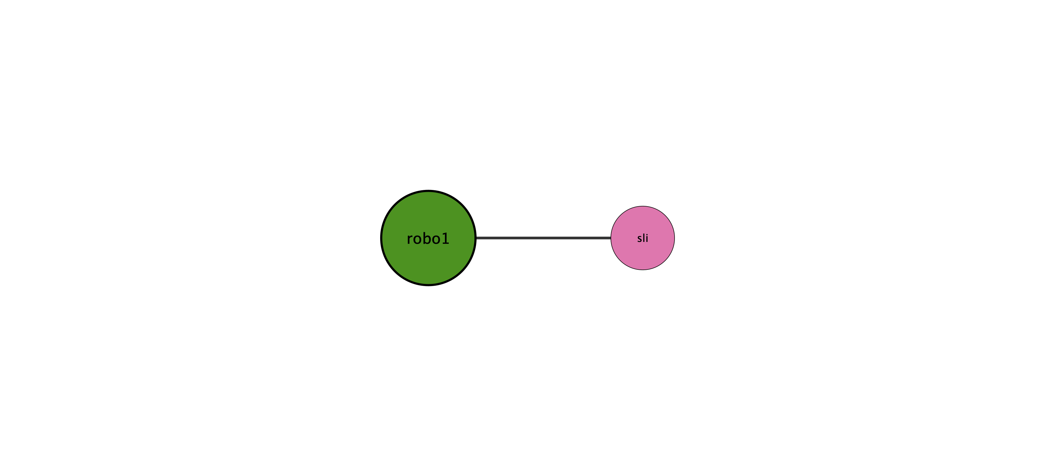 robo1 protein interaction network