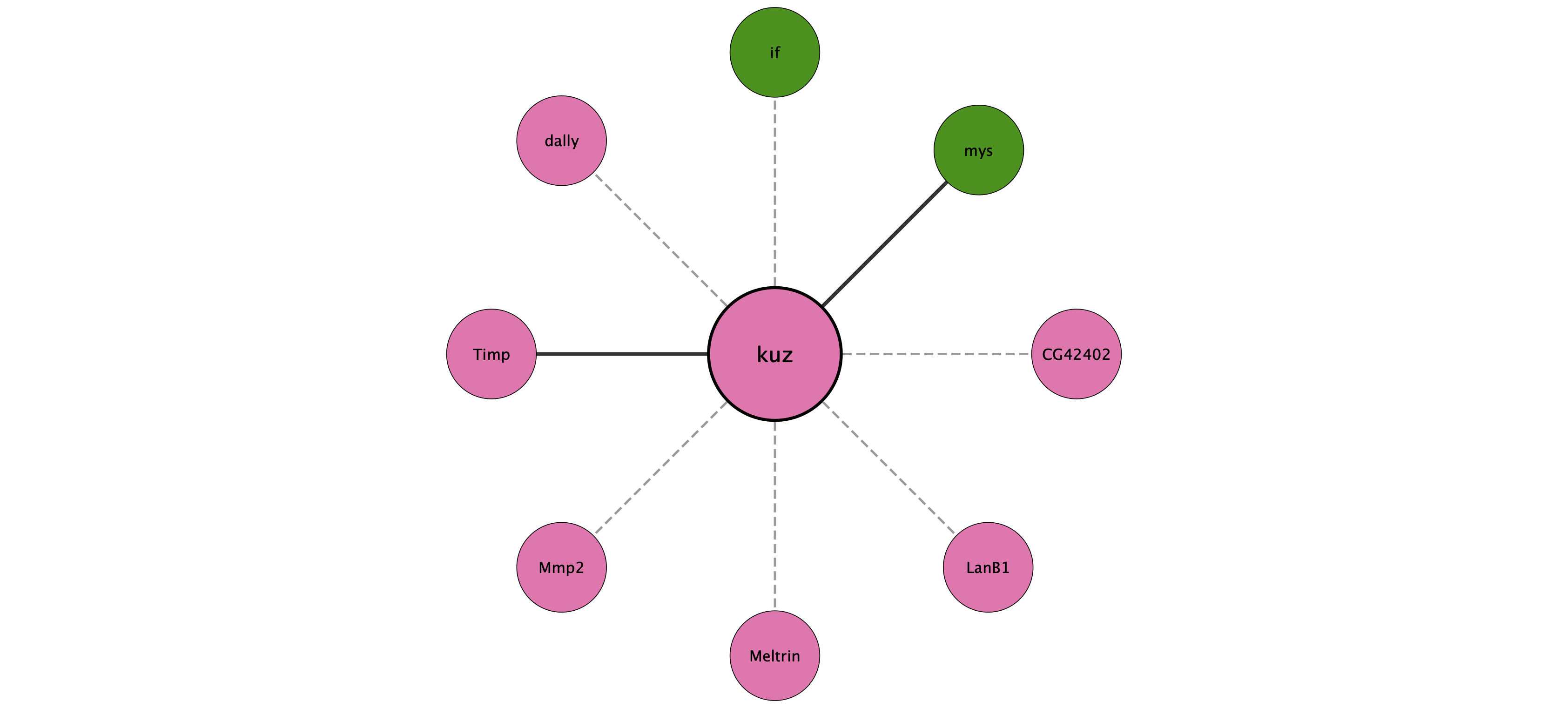 kuz protein interaction network