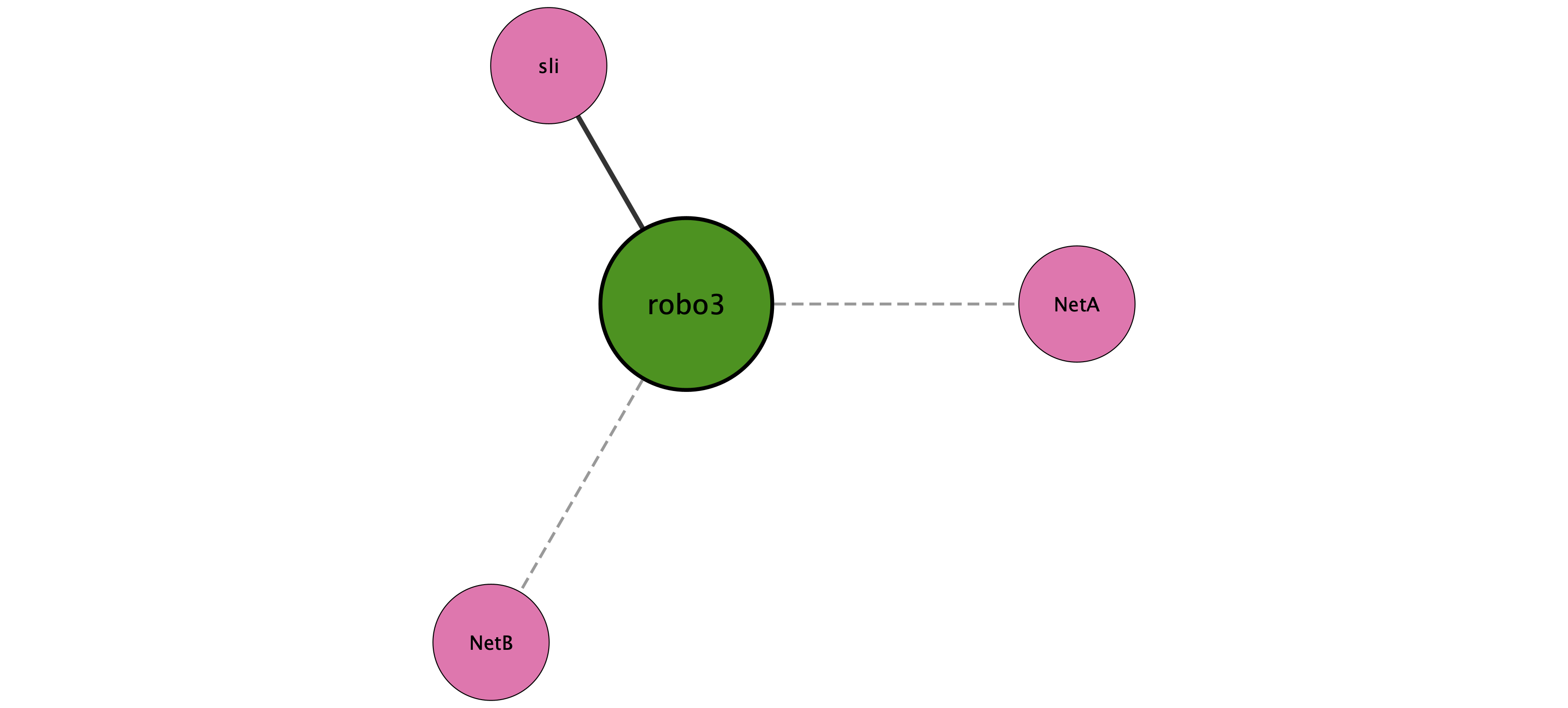 robo3 protein interaction network